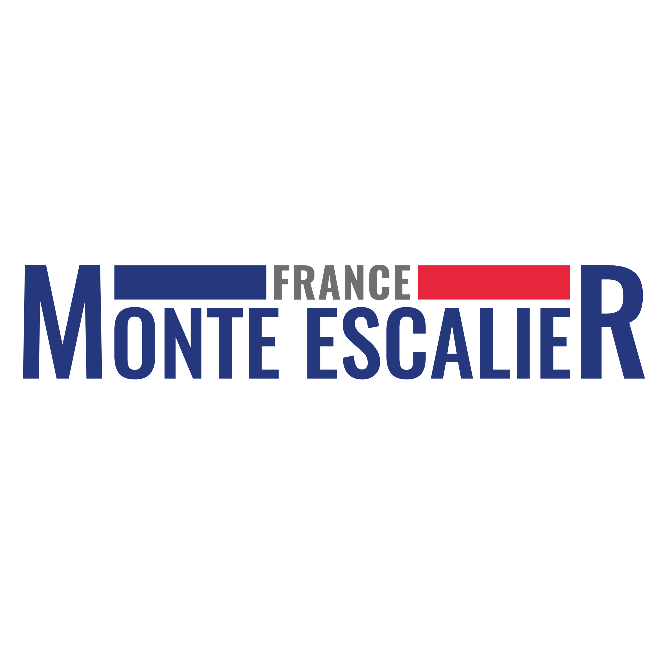 France Monte Escalier